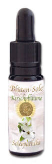 Blüten-Sole - Kirschplaume  10 ml