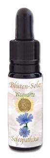 Blüten-Sole - Wegwarte  10 ml