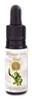 Blüten-Sole - Ulme 10 ml