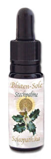 Blüten-Sole - Stechpalme 10 ml