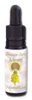 Blüten-Sole - Ackersenf 10 ml