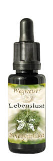 Lebensessenz "Wegweiser" Lebenslust 10 ml