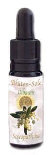 Blüten-Sole - Ölbaum 10 ml