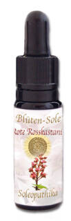 Blüten-Sole - Rote Rosskastanie 10 ml