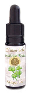 Blüten-Sole - Einjähriger Knäuel 10 ml