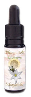 Blüten-Sole - Doldiger Milchstern 10 ml