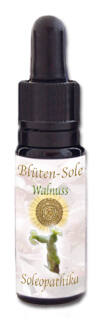 Blüten-Sole - Walnuss 10 ml