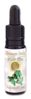 Blüten-Sole - Wilder Efeu 10 ml