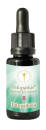 Infopathika B 20 ml