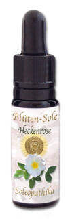 Blüten-Sole - Heckenrose 10 ml