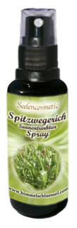 Spitzwegerich-Spray 50 ml