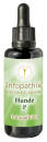 Infopathika P für Hunde 50 ml
