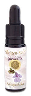 Blüten-Sole - Gundelrebe 10 ml