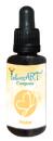 Fluidum 10 ml